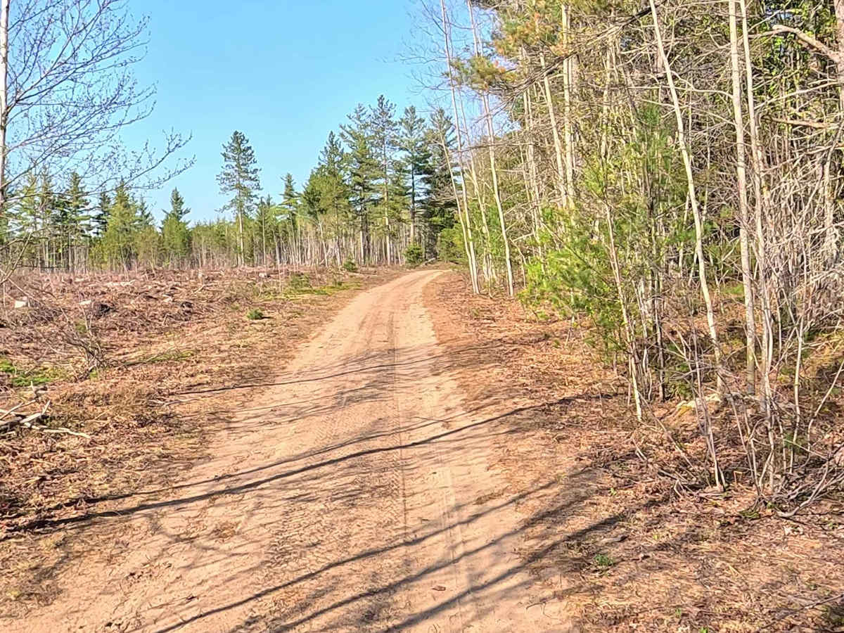 West Tower Road trail photo