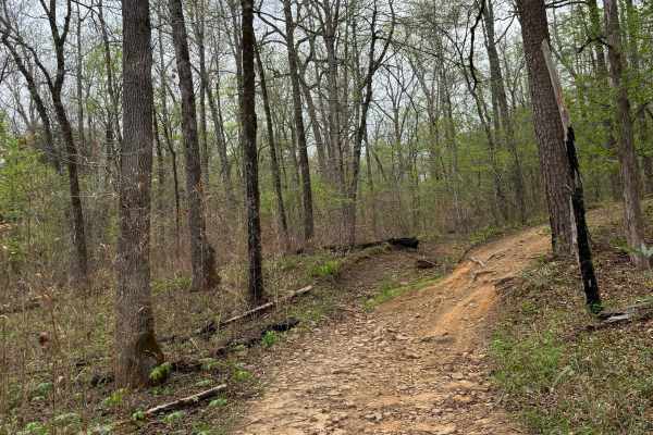 Brock Creek