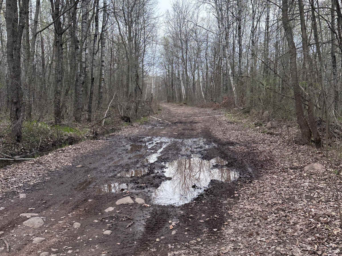 Matthew Lourey State Trail photo 3