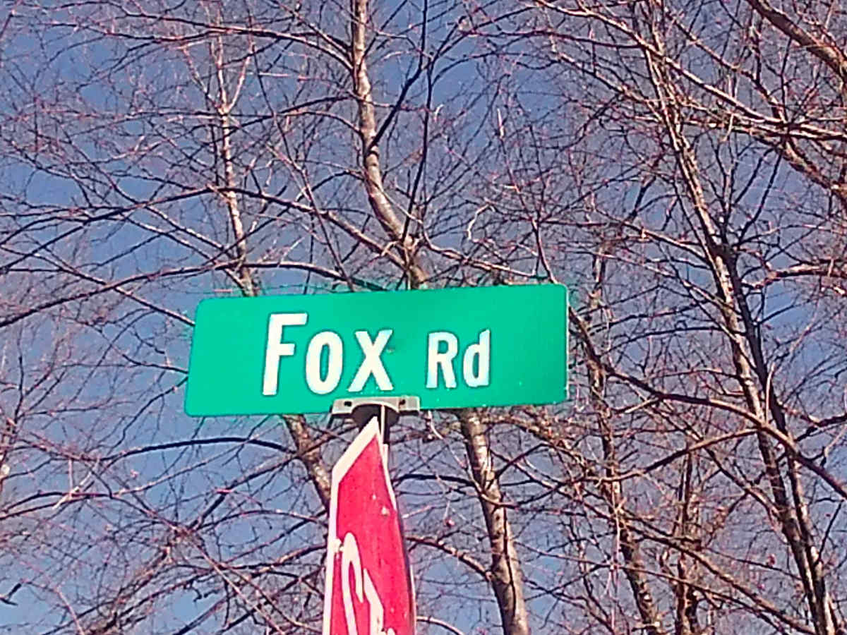 Fox Road trail photo