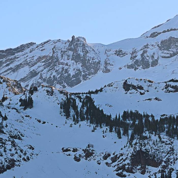 Near Demaris Lake Near Demaris Lake