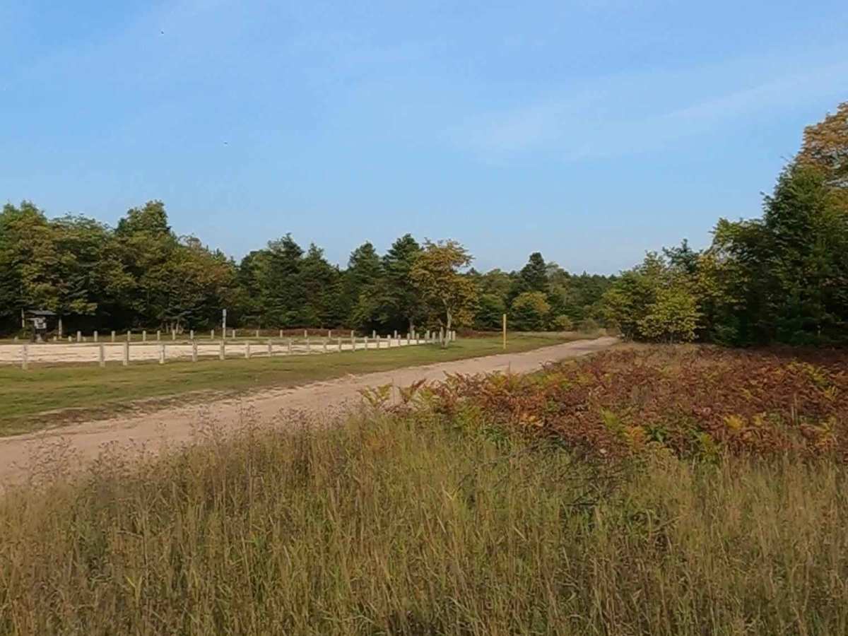 East Boundary Road photo 6