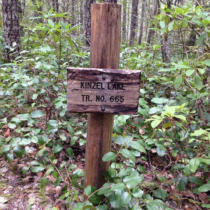 Near Kinzel Lake Trail #665