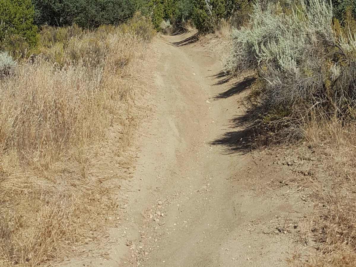 Trail 31 photo 4