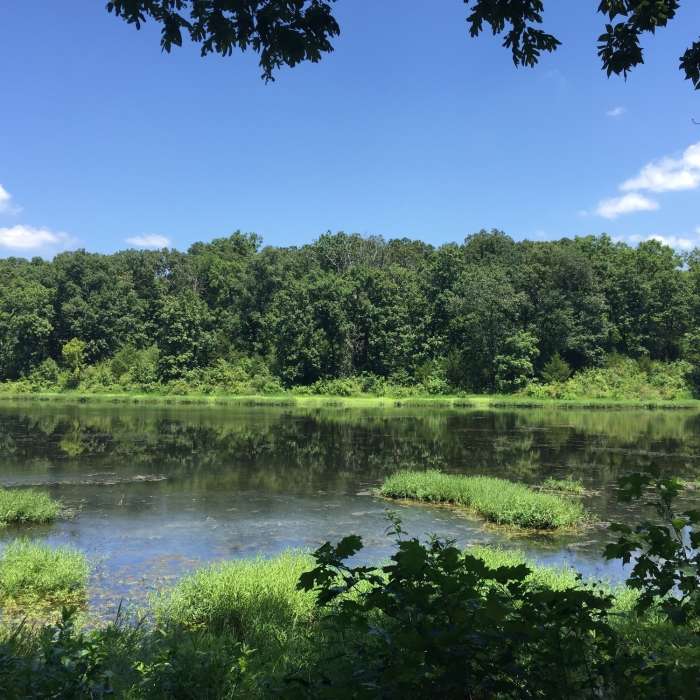 Lake Buteo Near Knob Noster Trails