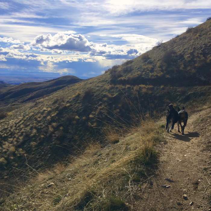 Near Five Mile Gulch