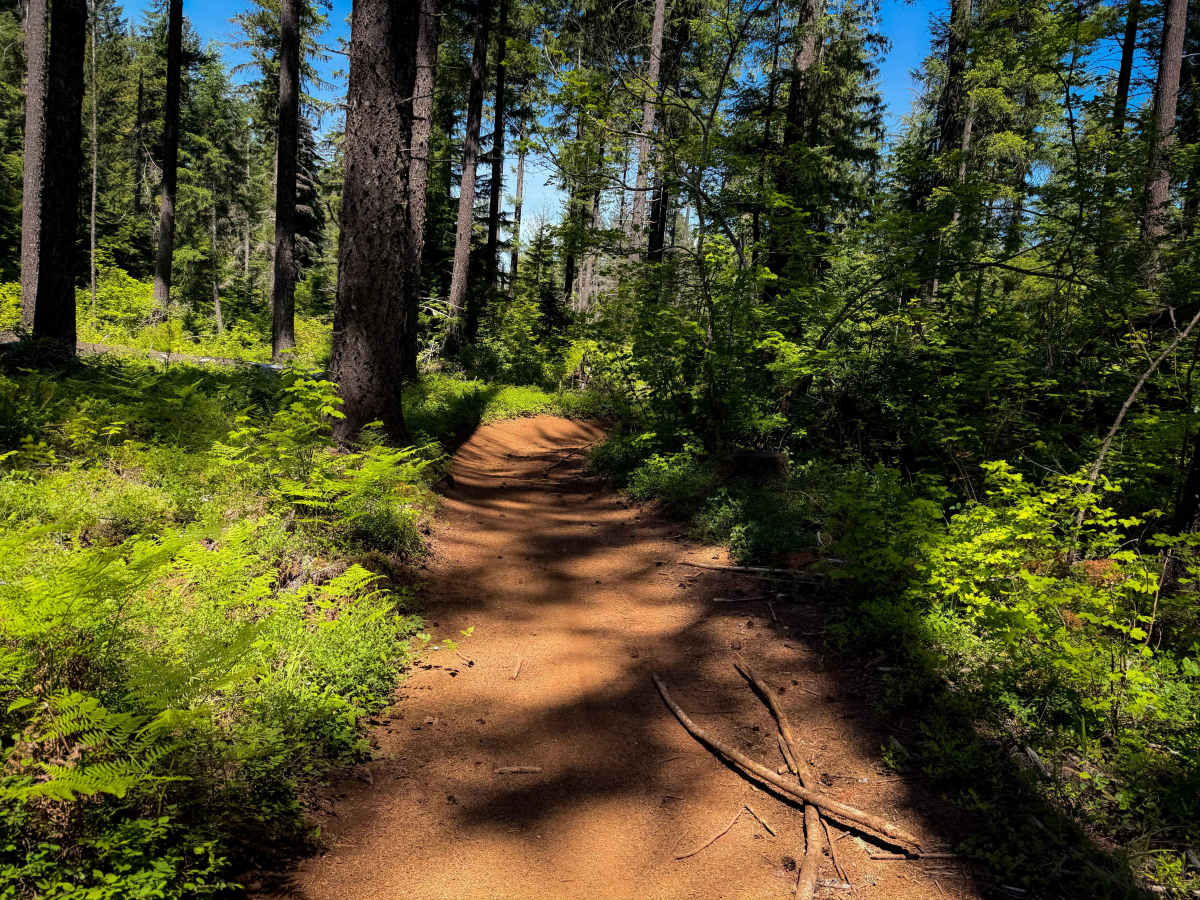 201 photo 5