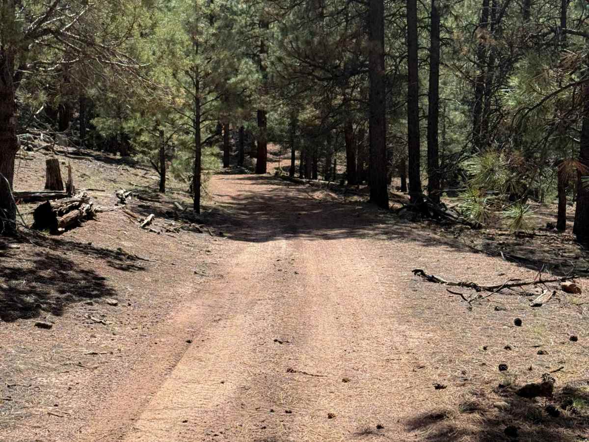 Top Tank Trail #5  photo 5