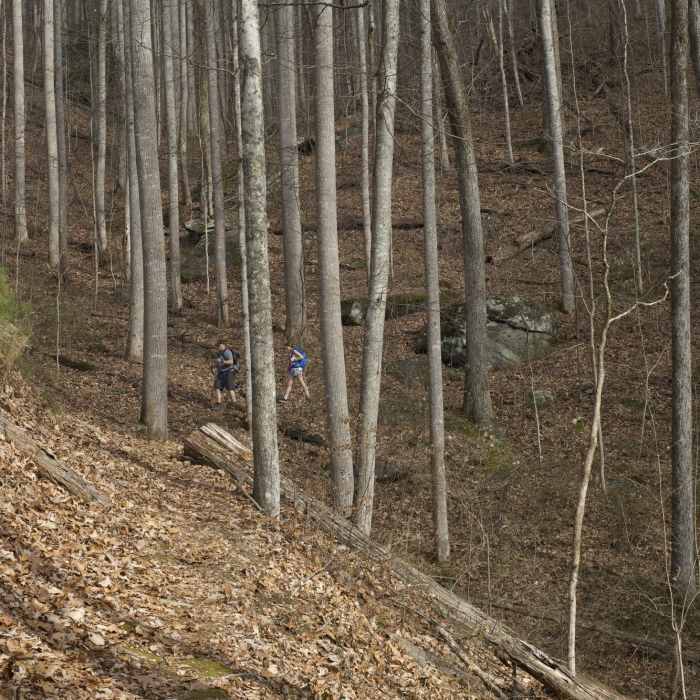 Near Twentymile Loop Trail