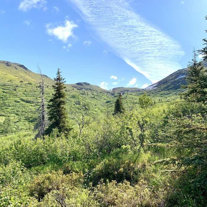 Near Wolverine Peak Near Wolverine Peak