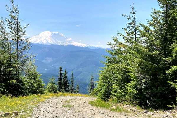 Stampede Pass - Crystal Springs to Greenwater
