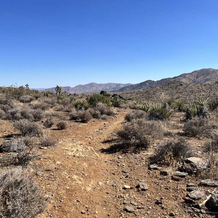 Near Ryan Campground to Geology Tour Road Loop