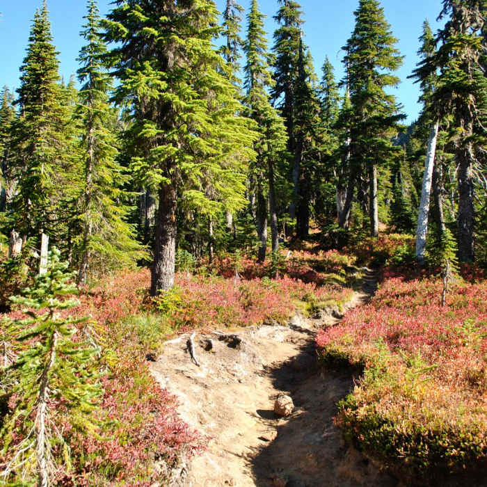 Near Cultus Creek to Lemei Rock