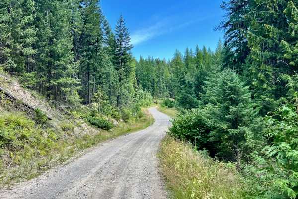 Meadow Creek Road