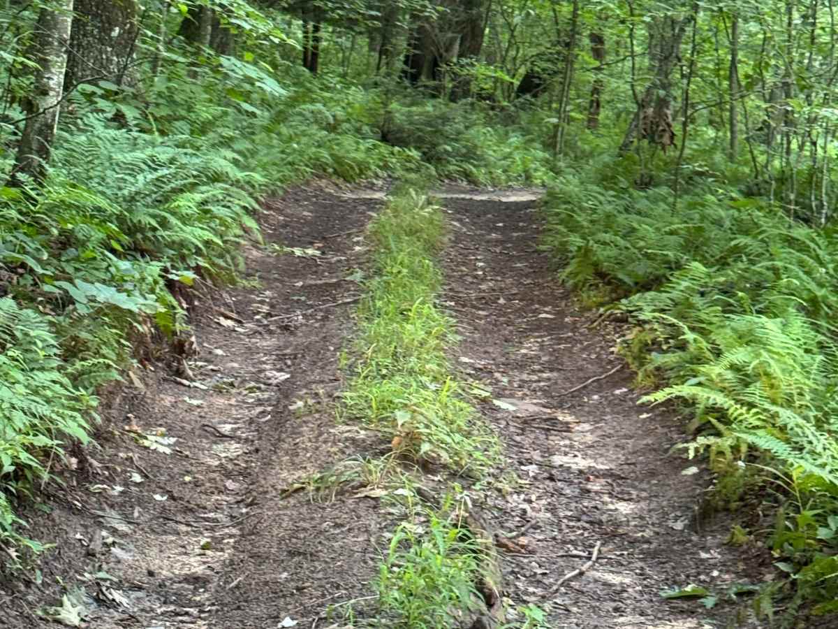 Trail 4 photo 3
