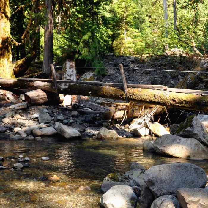 Near South Baker Lake Trail