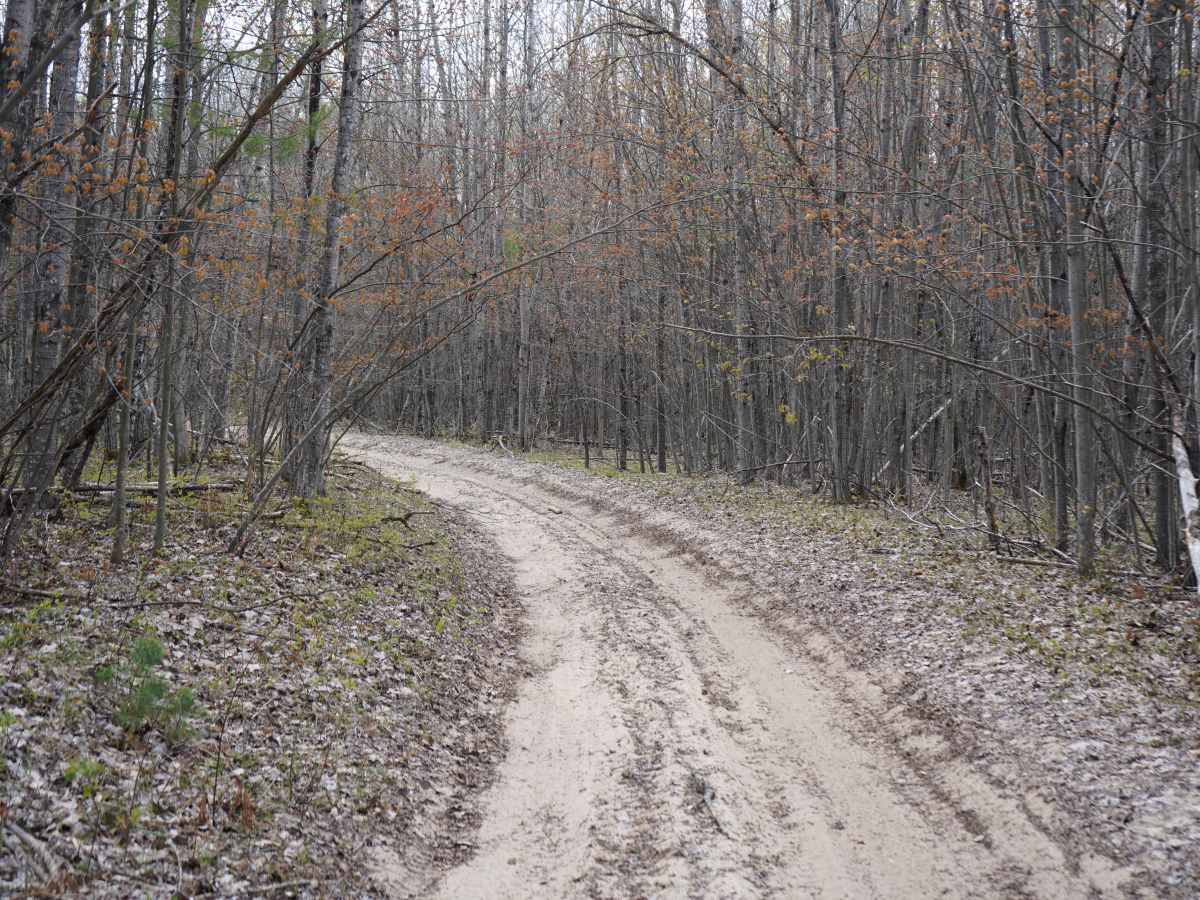 Artesia Beach Trail photo 3