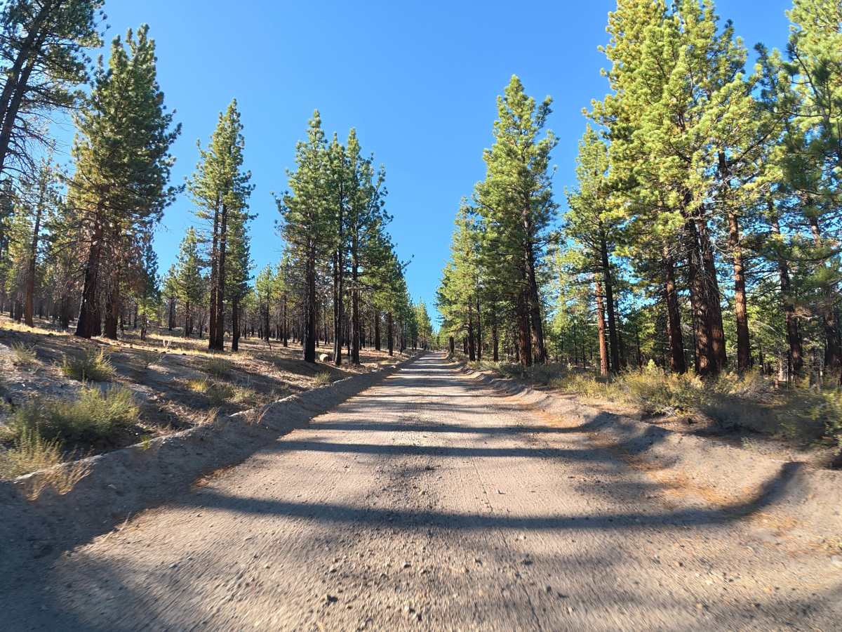 Logging Camp Road photo 3
