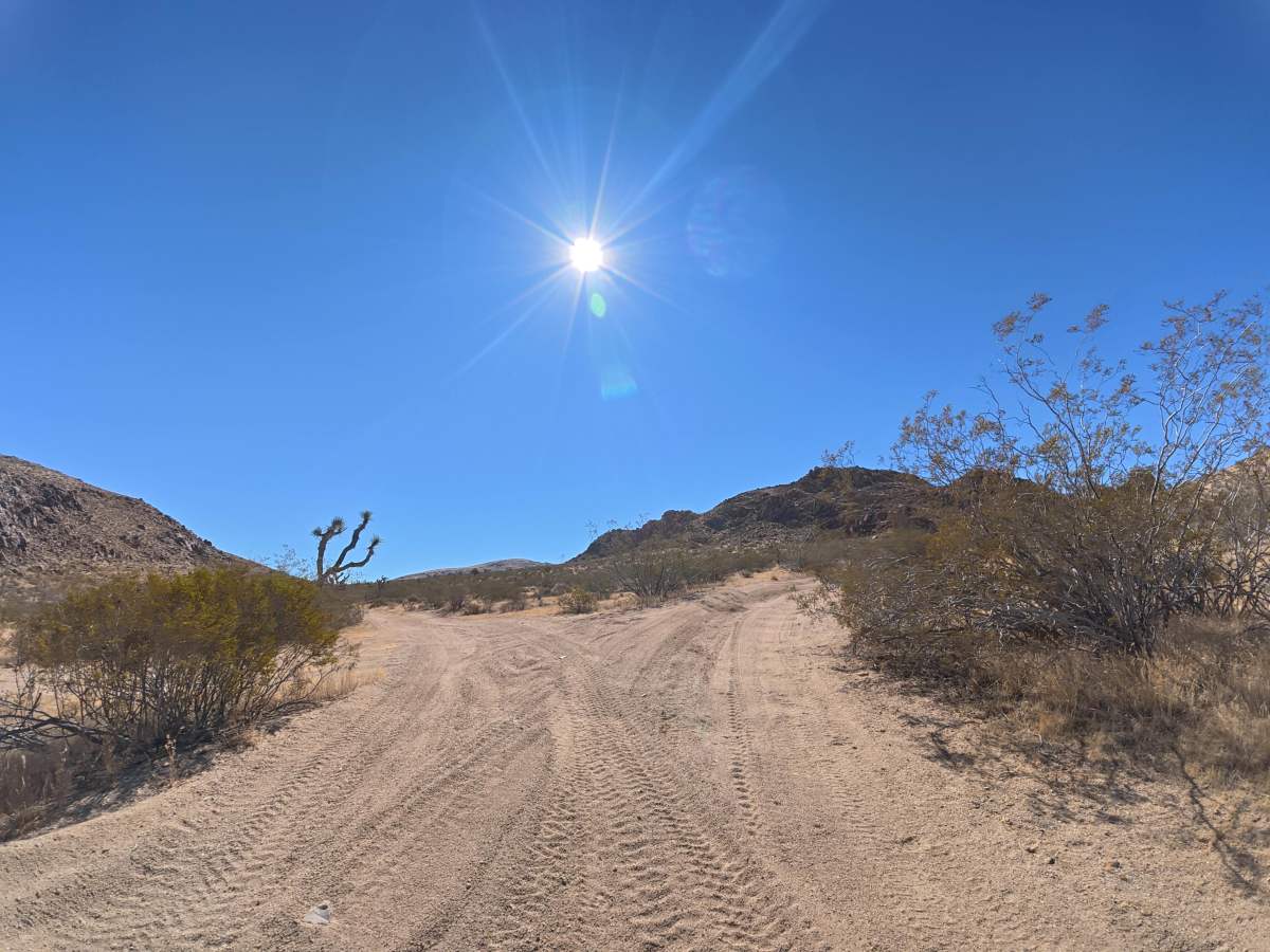 BLM SV11A trail photo