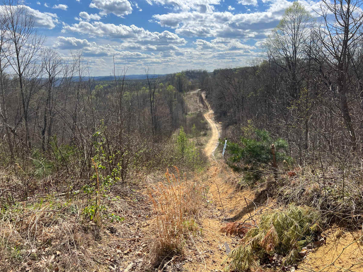 Q55 trail photo