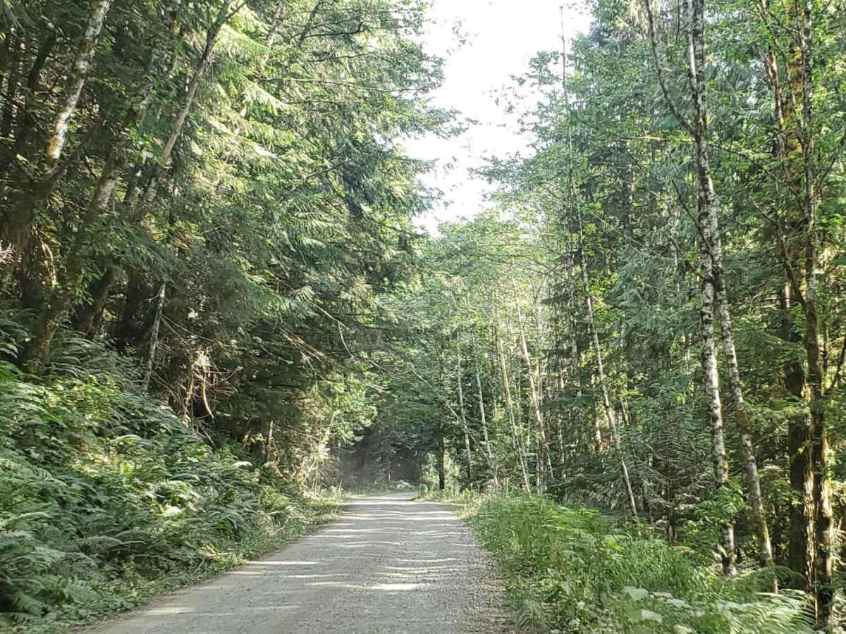 Narnia photo 5