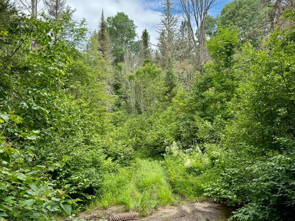 Perry Creek Passage trail photo
