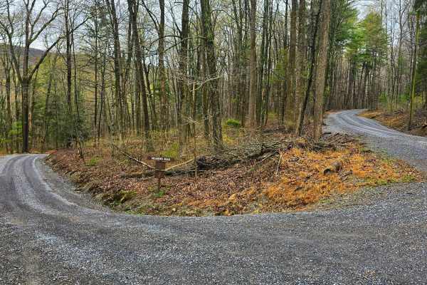 Meadows Road