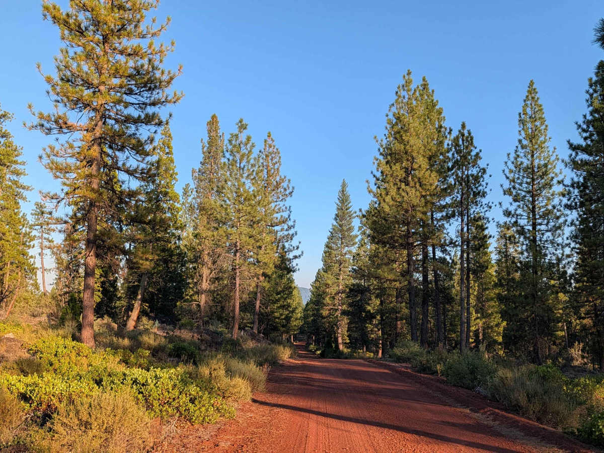 Porcupine Butte South - FS 41N36 photo 6