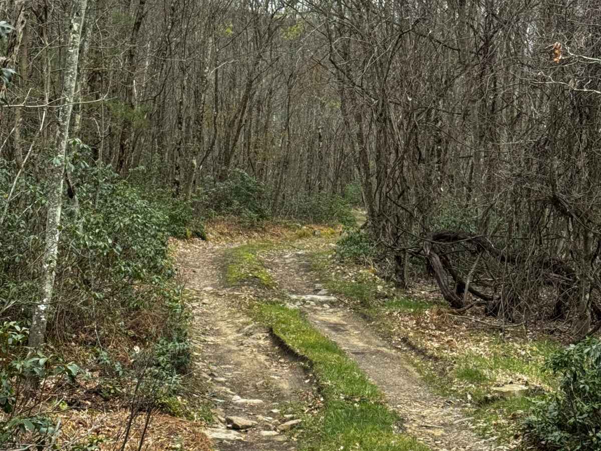 Sprout Springs Trail photo 3