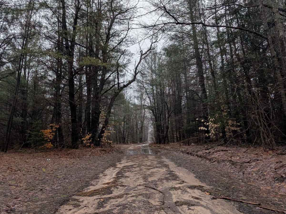 Cranberry Lake Rd photo 3