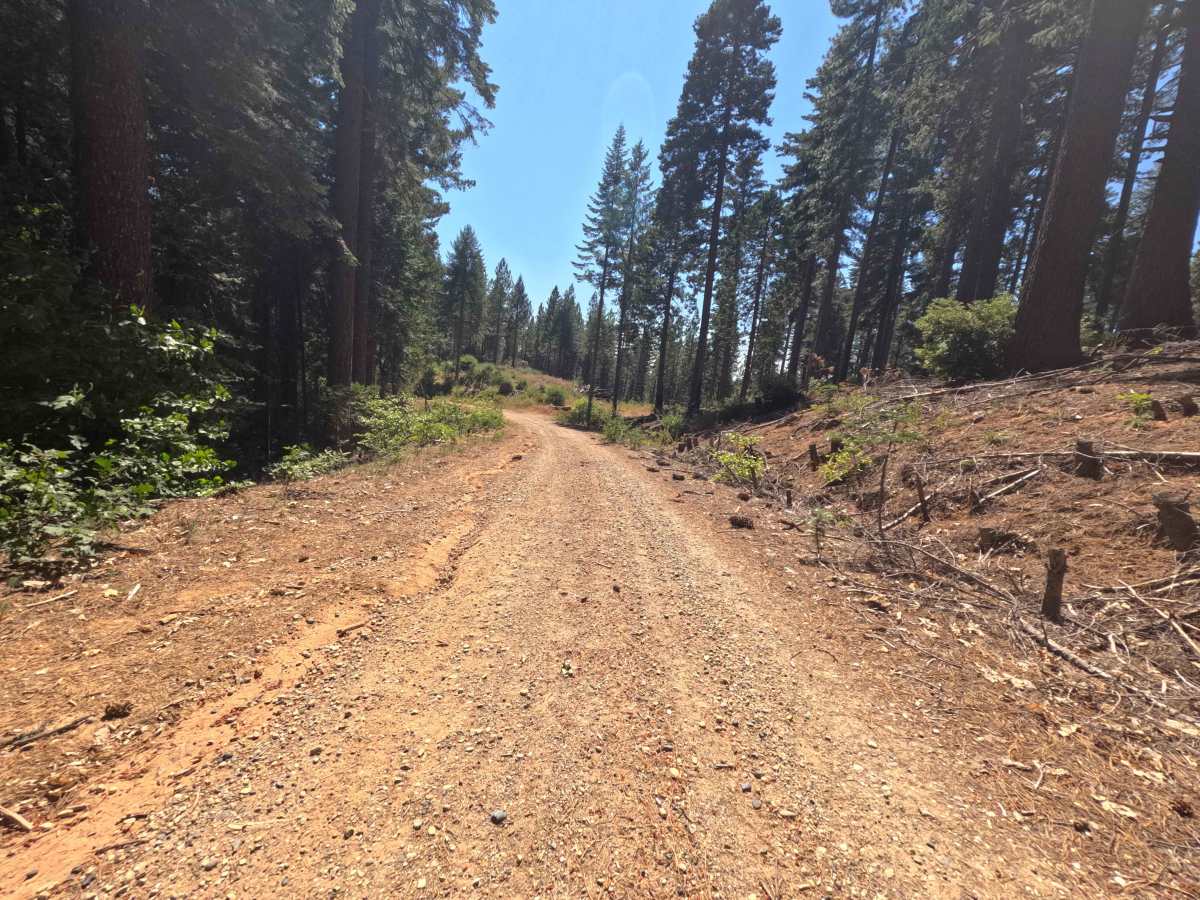 Upper French Creek - FS 21N56 photo 5
