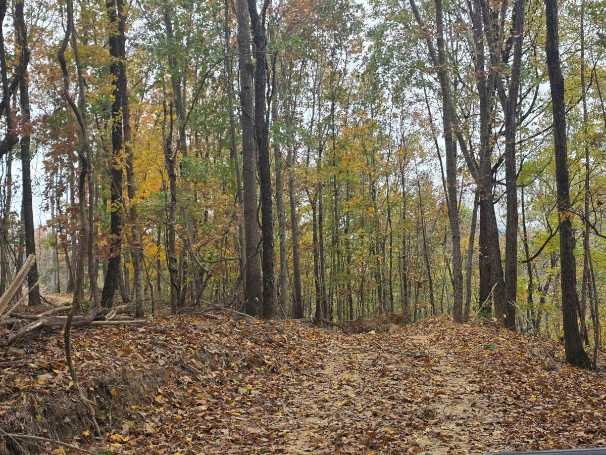 Spectator Ridge photo 4