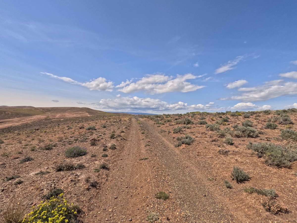 Jacknife Ridge Road photo 5
