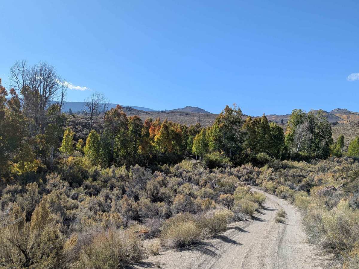 North Canyon / Baxter Road - FS 1S15A trail photo