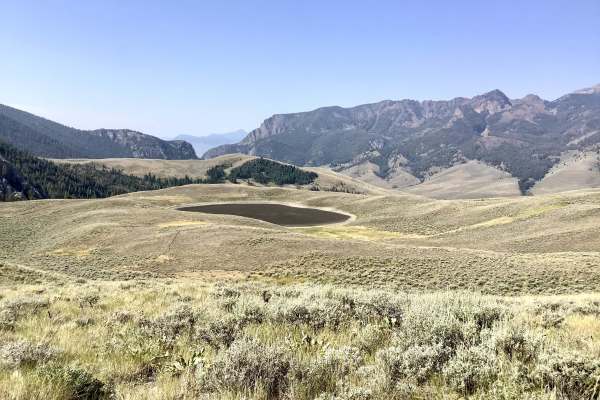 Blacktail/Mud Lake