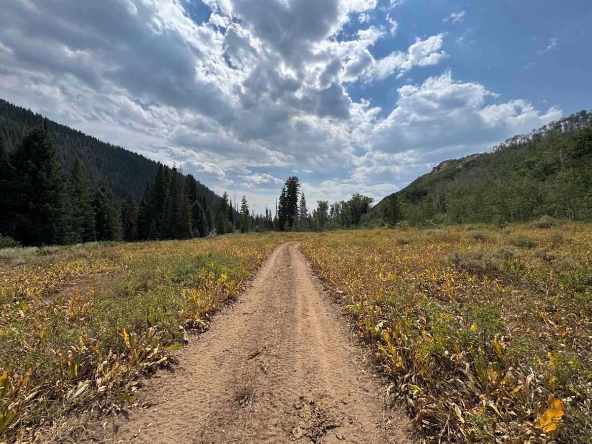 Bowes Spur Road - FS 471.1B photo 3