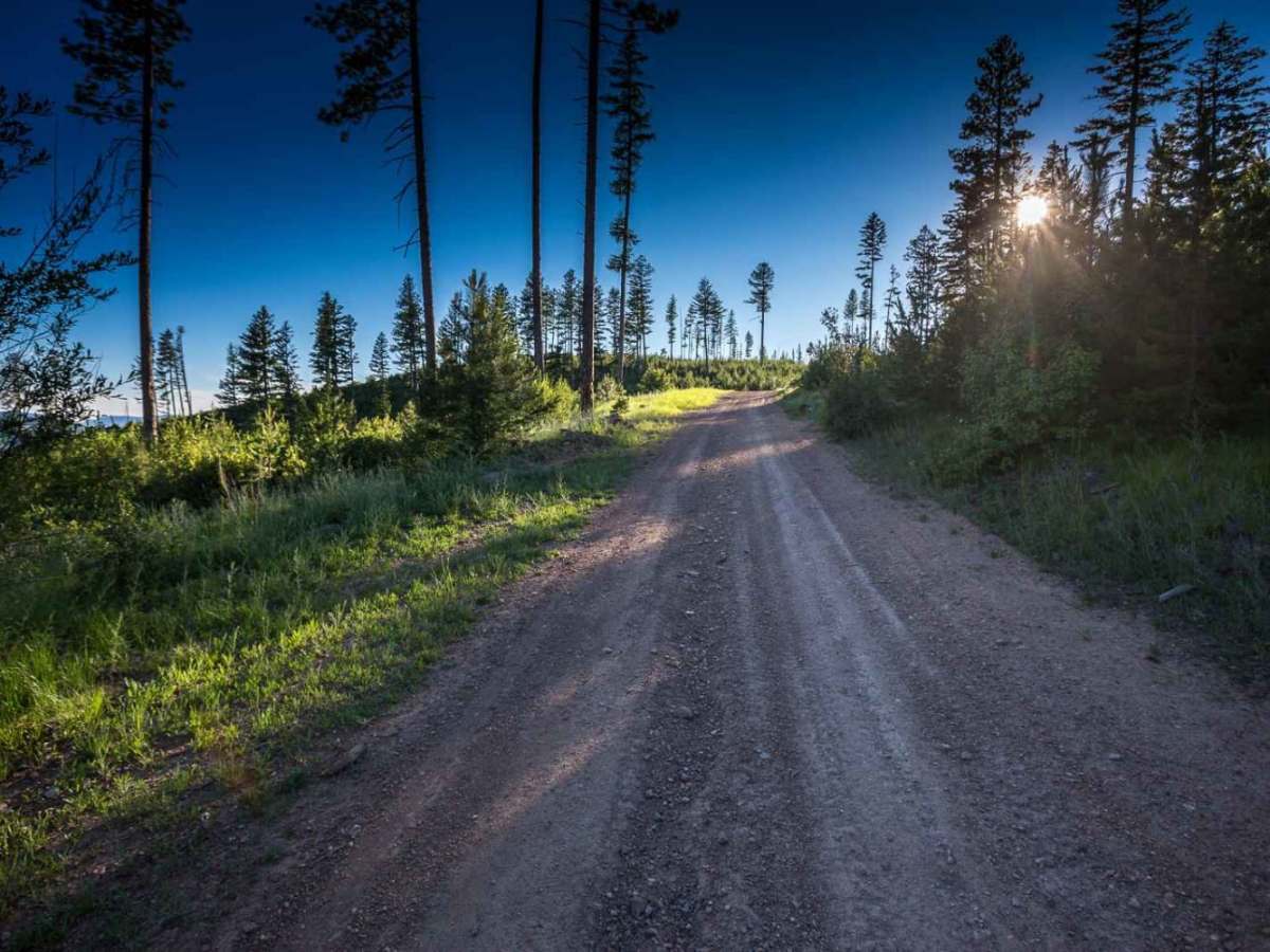 Wagon Mountain Road photo 3