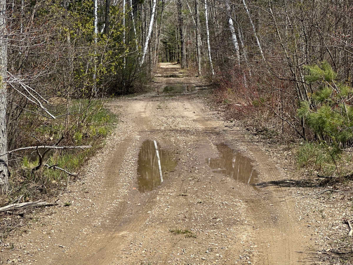 Hereafter Lane photo 6
