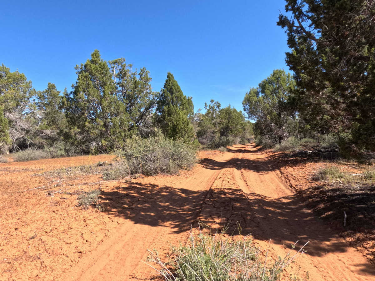 BLM 72 photo 5