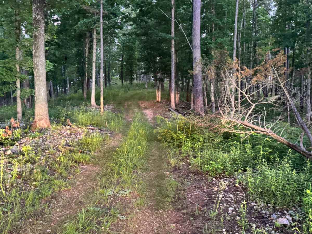 Glade 1112C photo 5