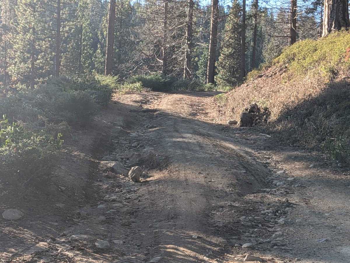 Fraser Flat Road - FS 4N13 photo 6
