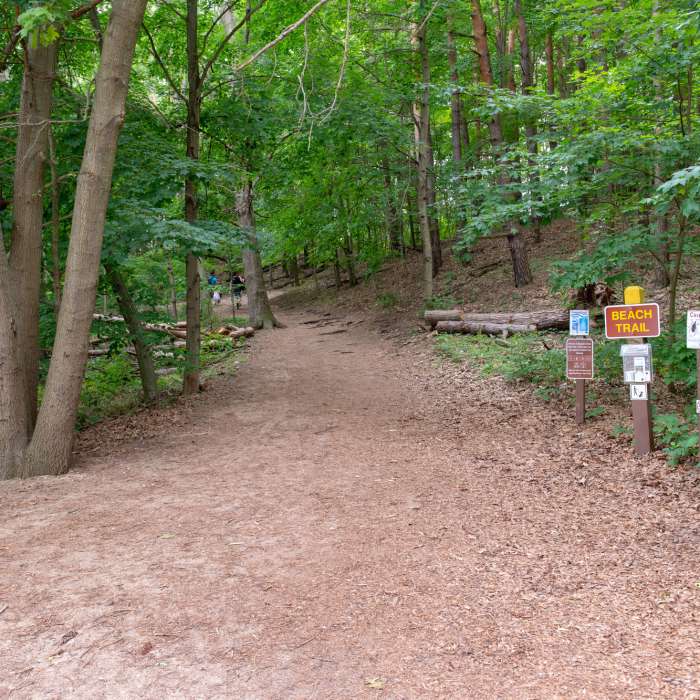 Photo courtesy of MI Dept. of Natural Resources. © 2018 State of Michigan Near Saugatuck Dunes Figure-Eight