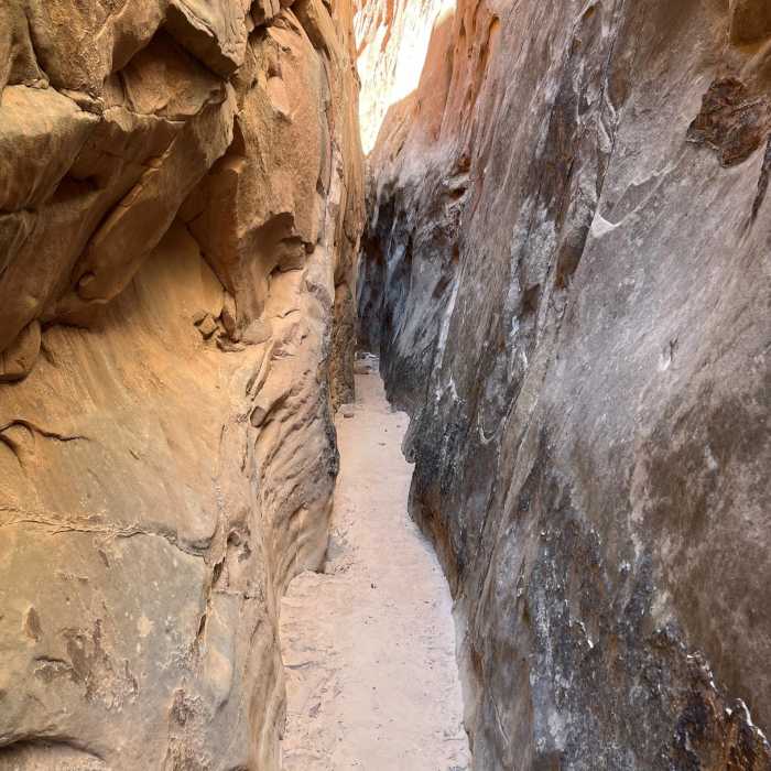 Near Headquarters Canyon Trail