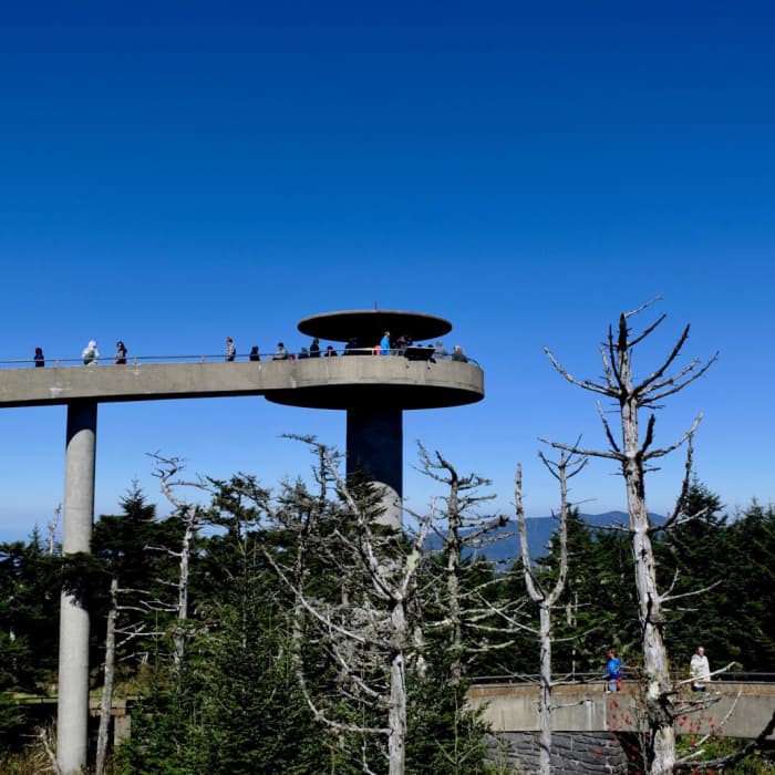 Near Appalachian Trail: Fontana Dam to Clingmans Dome