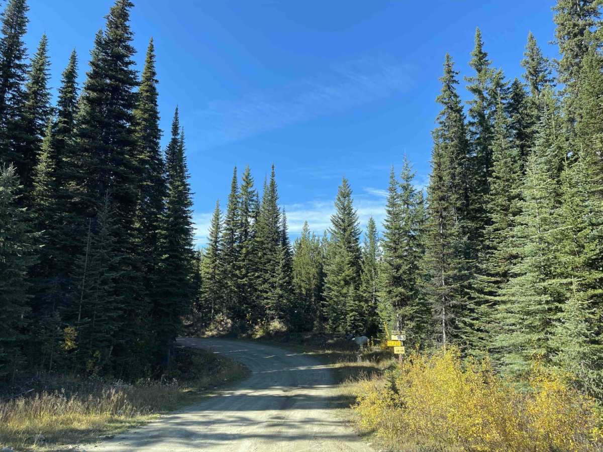 Blair Road Access to Snowmobile Trails photo 2