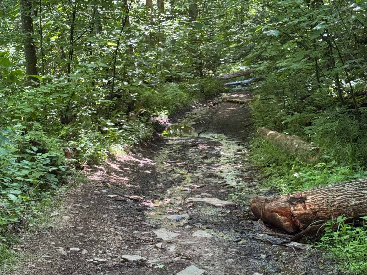 Turkey Leg Loop photo 5