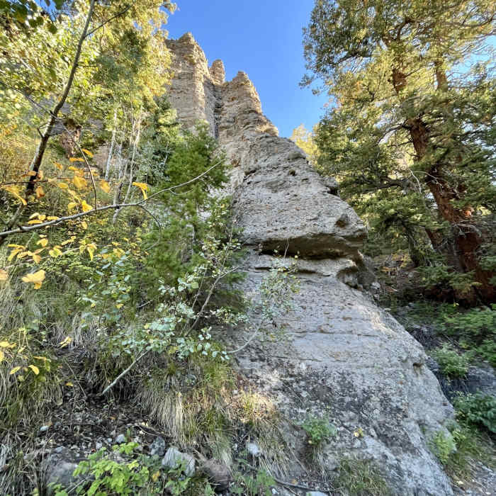 Near Alpine Trail- Silver Jack Segment