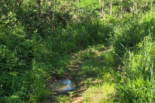 Single Track J1