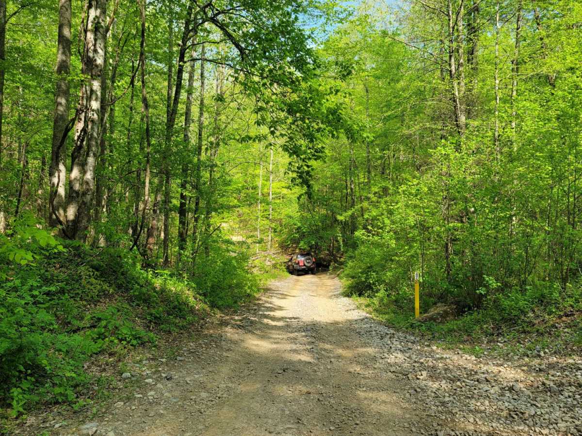Trail 27 -  Kener Gap photo 4