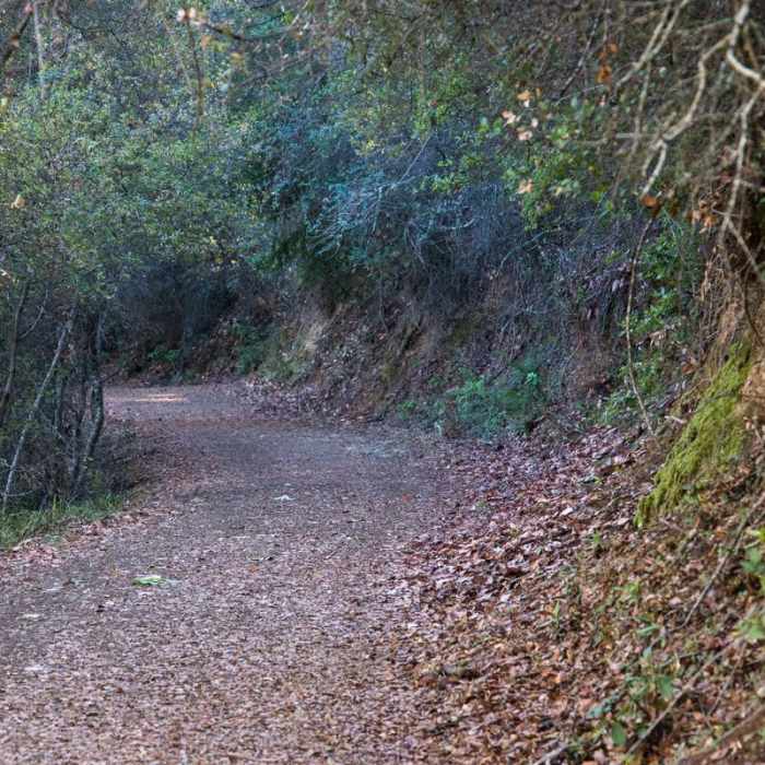 Near Alec Canyon + Triple Falls Trail Near Alec Canyon + Triple Falls Trail
